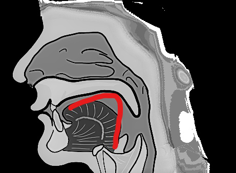 A side view of the mouth, nose and throat. A red line runs along the raised back of the tongue and then turns downward, tracing the angular shape of the Korean letter ㄱ.